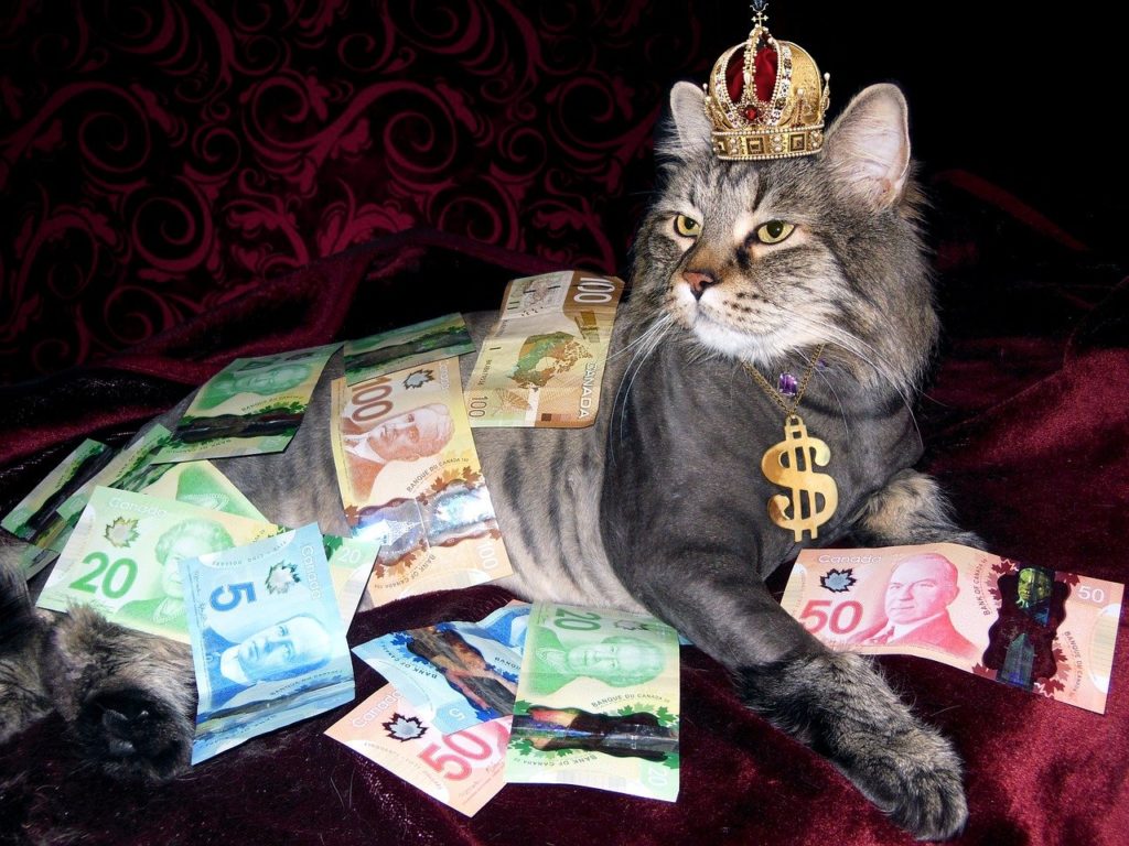 王冠をかぶった猫とお金